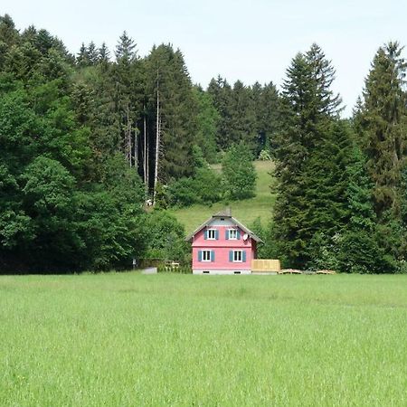 Erwins Ferien-Paradies Hörbranz Exteriör bild
