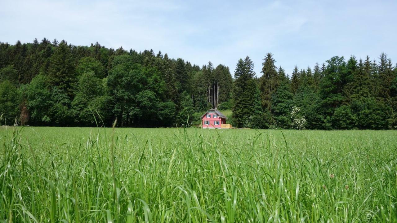 Erwins Ferien-Paradies Hörbranz Exteriör bild